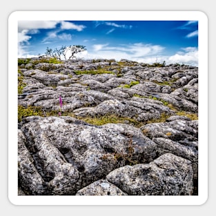 Limestone Pavement Sticker